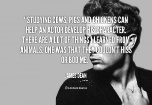 Quotes About Pigs