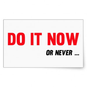 do_it_now_or_never_quote_sticker-r990934d02b7a4d368d9d8ead6af8337b ...