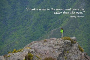 ... taller than the trees. ~ Henry David Thoreau #travel #quotes #hiking