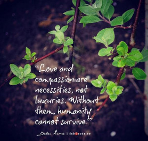 Dalai lama love and compassion quote