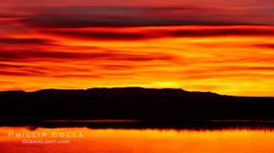 ... del apache national wildlife refuge bosque del apache HD Wallpaper