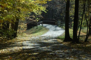 Troy Michigan Health Insurance Quotes