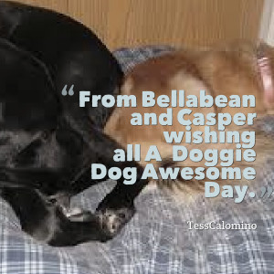Quotes Picture: from bellabean and casper wishing all a doggie dog ...