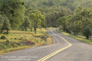 Photo: Winding road lined by oak trees in spring, Tehama County ...