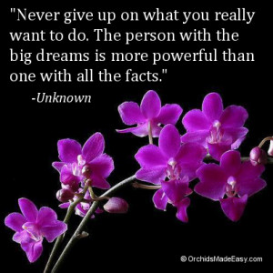 What’s your big dream that you’ve never given up on?
