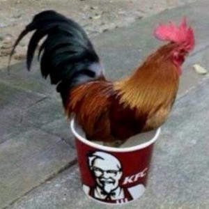 Funny KFC