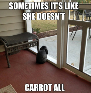 Also, hard to resist a pun. Especially a bunny pun.