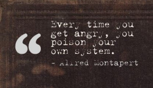 Every time You get angry,You Poison Your Own System ~ Anger Quote