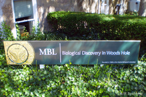 Marine Biological Laboratory (MBL) at Woods Hole, Mass.