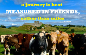 journey-best-measured-in-friends-rather-than-miles-travel-quote ...