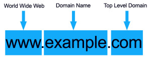 Top Level Domain