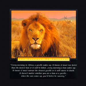 Essence of Survival (Lion)