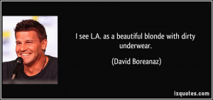 ... see L.A. as a beautiful blonde with dirty underwear. - David Boreanaz