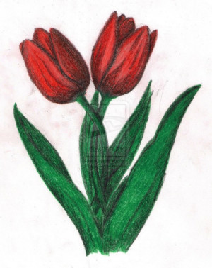 ... tulip girl—a red tulip girl.” - Damen Auguste, Evermore