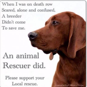 For every one you buy, a shelter dog dies... Adopt, Don't Shop!
