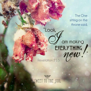 Already have an account? Log in now