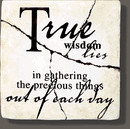 Lies Gathering The Precious...