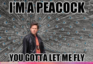 Return to Funny Picture Dump Of The Day – 49 Pics