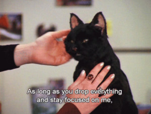 Sabrina the teenage witch Salem Saberhagen salem salem cat