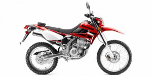 Sub-300cc Sporty Bikes