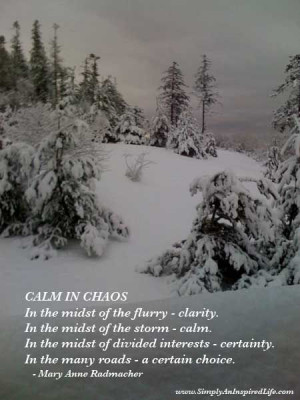CALM IN CHAOS In the midst of the flurry - clarity. In the midst of ...