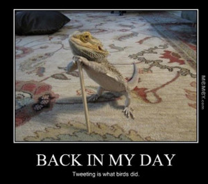 funny old lizard