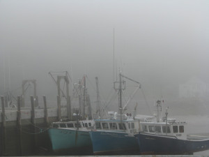 Foggy Day in St. Martins