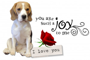 Funny Beagle Quotes
