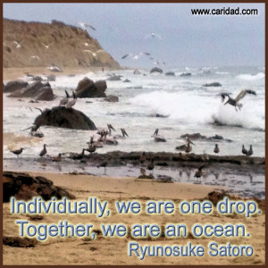 ... , we are one drop. Together, we are an ocean.” Ryunosuke Satoro