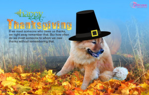 Happy Thanksgiving Day Quote With Dog Picture Wallpaper Forest View