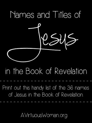 ... in the book of Revelation: Book Of Revelations, Books Of Revelations