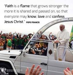 Pope Francis Quote. Perhaps instead of 
