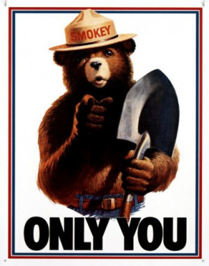 Only you can prevent forest fires, says Smokey the Bear.