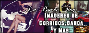 Corridos Y Banda Quotes Imagenes de corridos,banda y