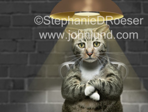 ... quotes tumblr,funny quotes on passion,funny billboard sayings