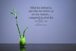 ... lies within us Vinyl Wall Decals Quotes Sayings Words Art Decor