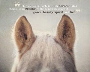 Horse Quotes and Cowgirl Quotes