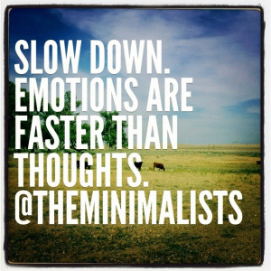 Slow down. Emotions are faster than thoughts. - @TheMinimalists