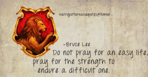 Shared 2 years ago , with 64 notes