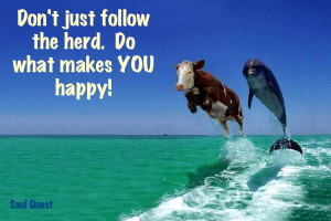 Don’t just follow the herd. Do what makes you happy.
