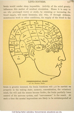 Phrenology Chart picture