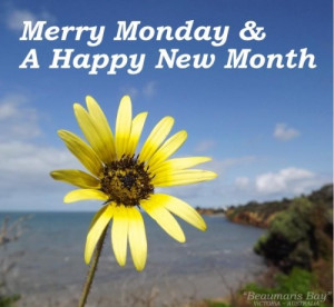 new month merry monday a happy new month