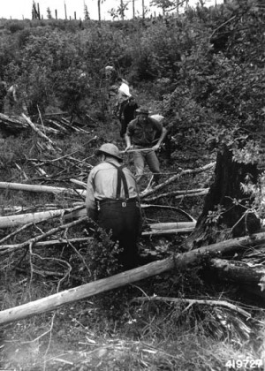 The conscientious objectors at Manor Farm, Norton. The man on the left ...