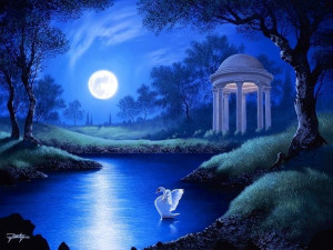 Swan on lake via Gorgeous Picture on Facebook