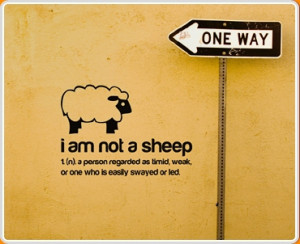 ... sheep'... 'a person regarded as timid, weak, or one who is easy swayed