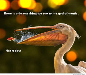 There is only one thing we say to the god of death…