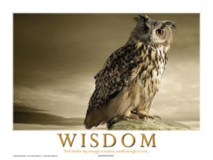 ... Motivational POSTER - EXTRA LARGE (4' x 3') Laminated. WISDOM Quote