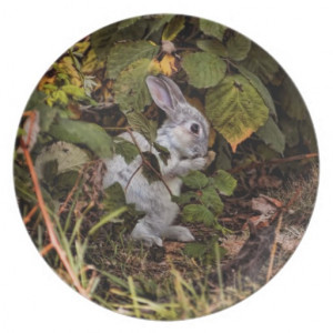 Velveteen Rabbit Gifts