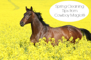 Spring Cleaning Tips from Cowboy Magic