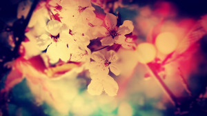 vintage flowers desktop wallpaper download vintage flowers wallpaper ...